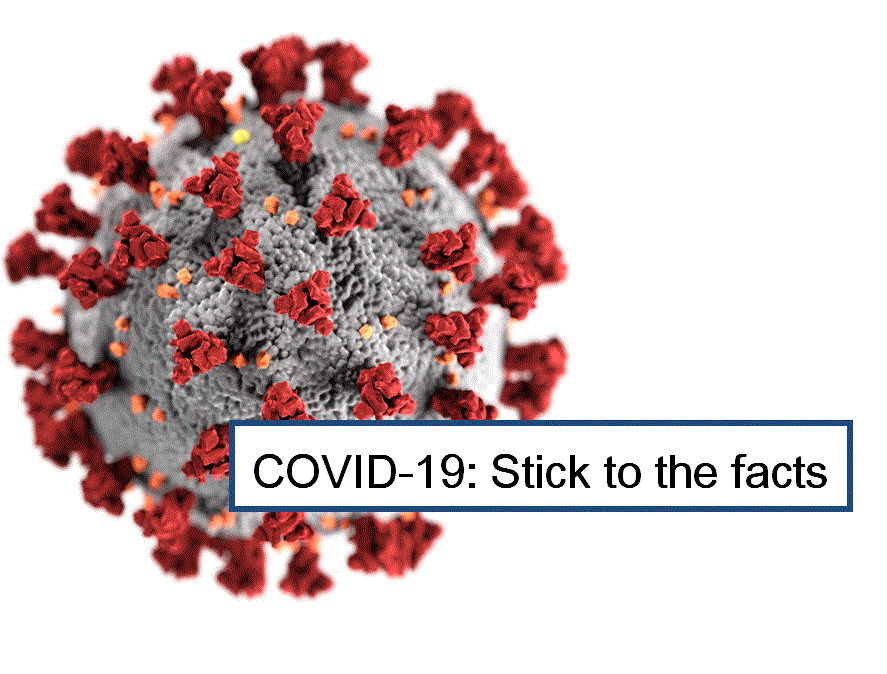 Virus image from the Centers for Disease Control and Preventions Public Health Image Library, modified by Julie Heng