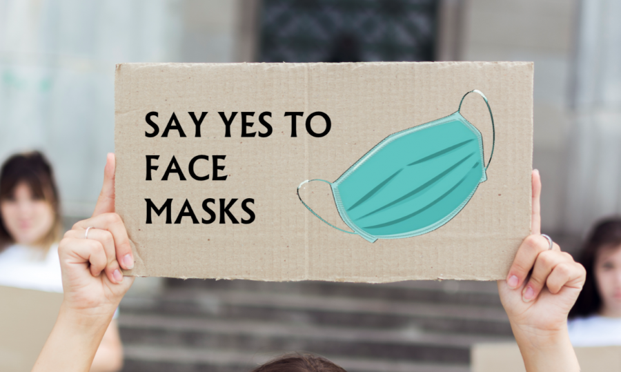 Put science first: why face masks matter