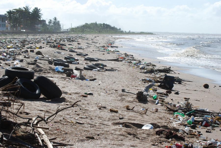 Pictured is Guyana, a country in South America which is dealing with the ocean littering issue along with the rest of the world.