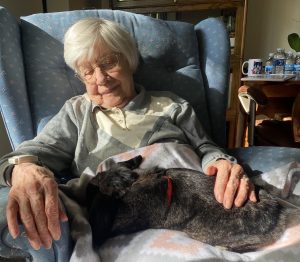 Hillside Terrace Senior Livings resident Phyllis with a bunny. We’ve had to get creative with our activities. One of our Nurse’s Aides, Lindzy, raises bunnies so she brought one in for some pet therapy. - Erin McIver