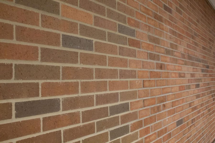 Bricks are a common feature throughout Huron. Terracotta colored brick walls such as this one near the book depository are in many Huron hallways. The continual use of bricks throughout Huron is one of its unique design features.