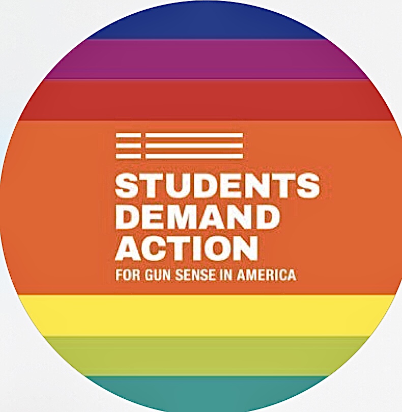 Huron Students Demand Action (HSDA) is a student-run activist group from Huron High School centered on advocating for gun safety in our community. Photo courtesy of the HSDA Instagram. 