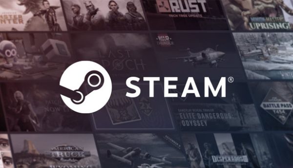 Steam, a video game website where you can access multiple digital softwares (Image by Valve).