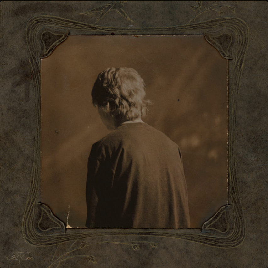 Single cover for Ethel Cain's 'Nettles.'