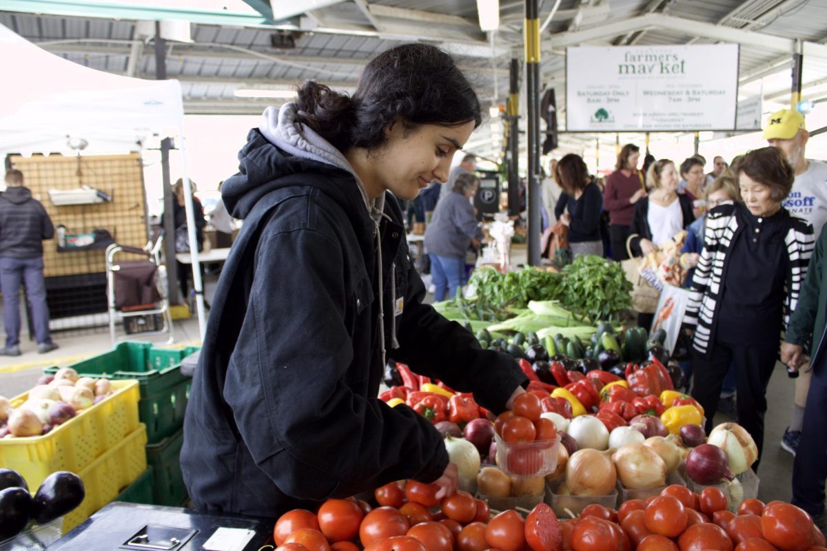 University of Michigan Medical Student Aja Sharma began a job with Goetz Farms at the Farmers Market earlier this year.
