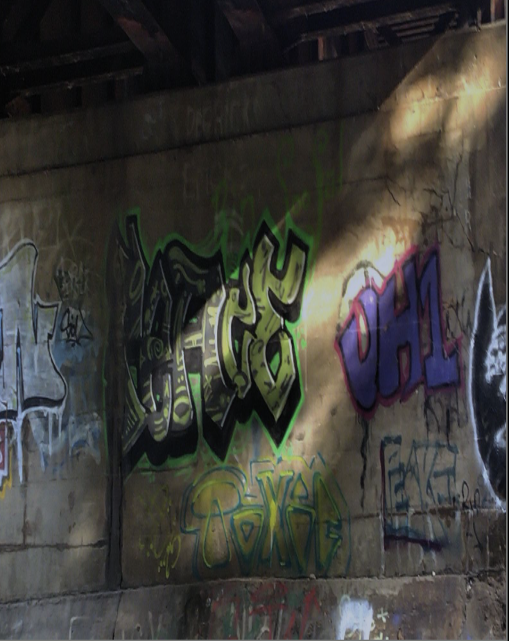 Cada artista tiene su firma o su forma de darse a conocer. Aquí conocí a este artista, “Toxic.” Vi su nombre en muchas paredes y me gusto mucho su estilo.