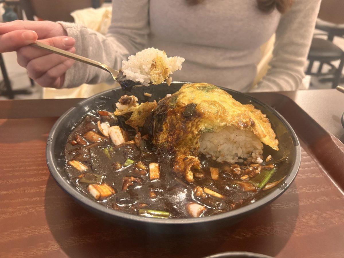 The second dish served was the jjajangbap.