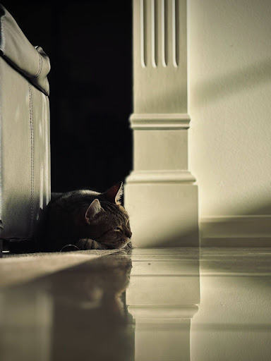 Lin's "Reflection" placed first in the 2026 Mischief Arts Prize. 