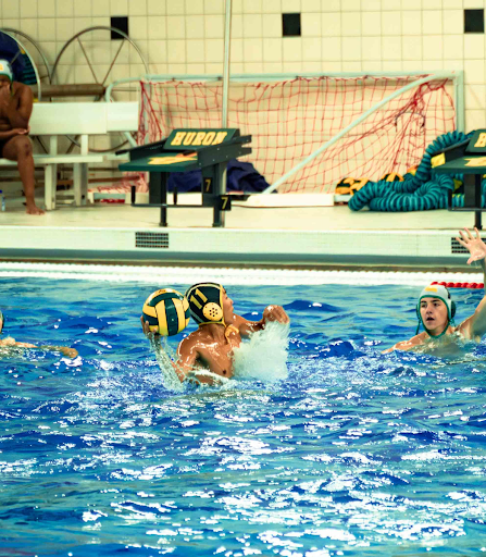 Shiue playing water polo for Huron. Courtesy of Shiue. 