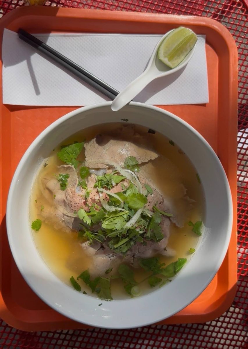 Ginger Deli's bowl of beef pho, served with cilantro and onions.